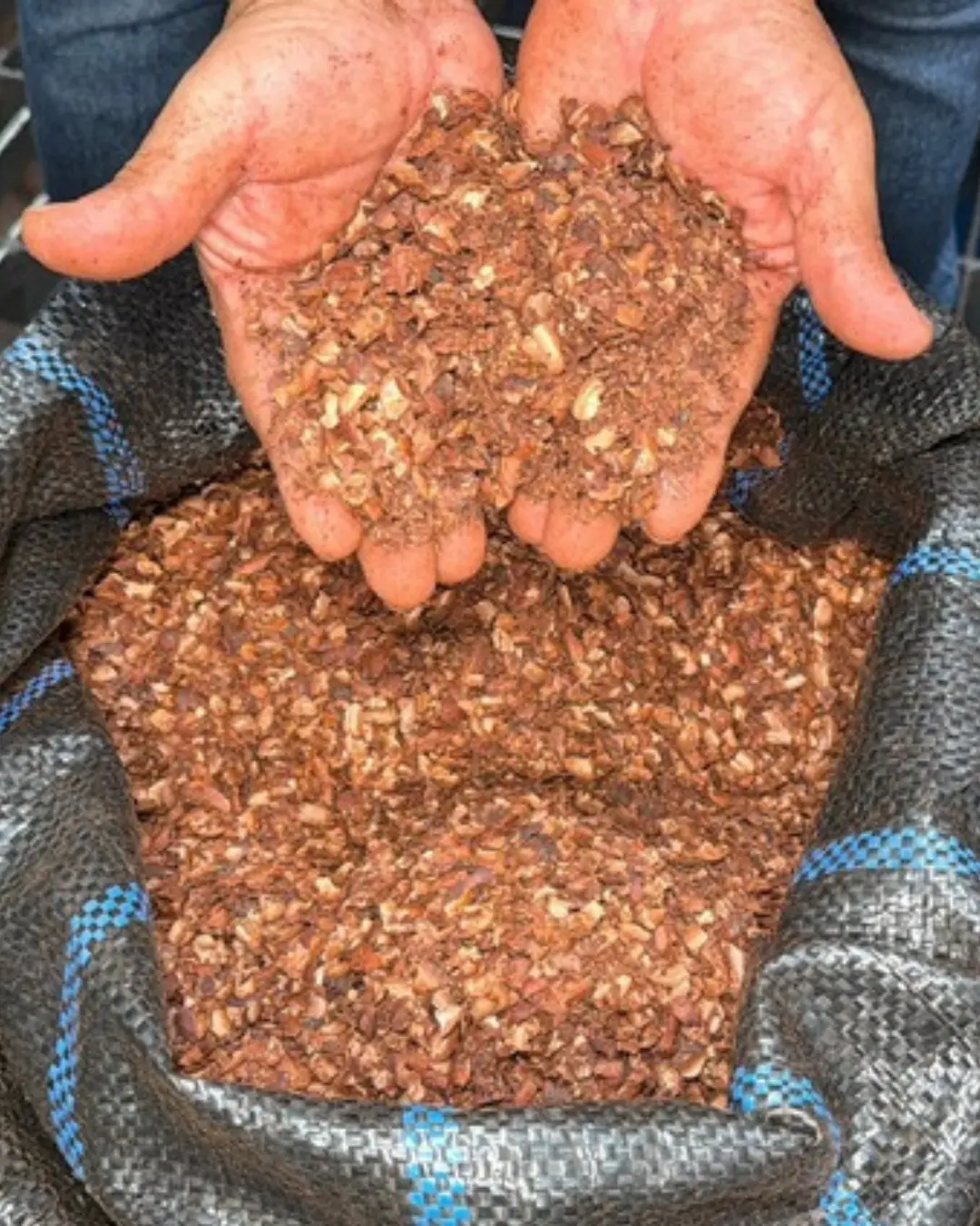 Cacao husk